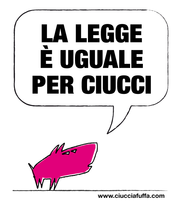 Disposizioni per la formazione del - parlamentoit