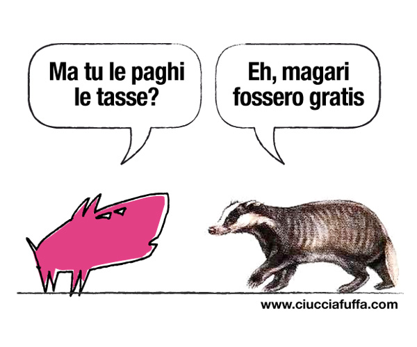 fuffa_tasse