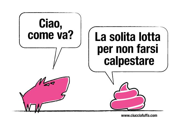 caccalpesta