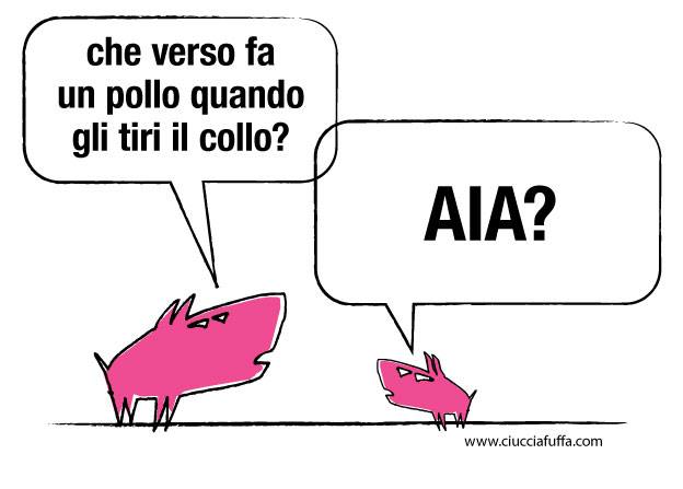 pollo aia